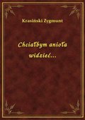 Chciałbym anioła widzieć... - ebook