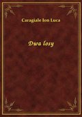 Dwa losy - ebook