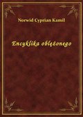 Encyklika oblężonego - ebook