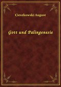 Gott und Palingenesie - ebook