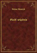 Pieśń więźnia - ebook