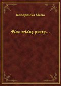 Plac widzę pusty... - ebook