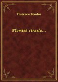 Płomień strzela... - ebook