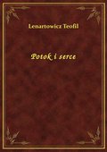 Potok i serce - ebook