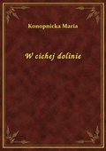 W cichej dolinie - ebook