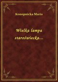 Wielka lampa staroświecka... - ebook