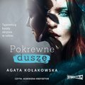 Pokrewne dusze - audiobook