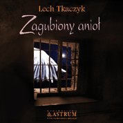 : Zagubiony anioł - ebook