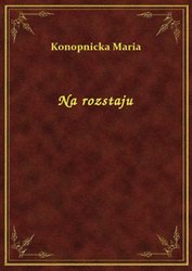 : Na rozstaju - ebook