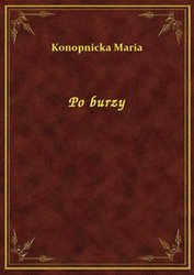 : Po burzy - ebook