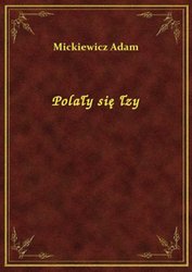 : Polały się łzy - ebook