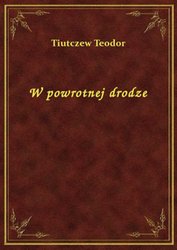 : W powrotnej drodze - ebook