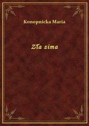 : Zła zima - ebook